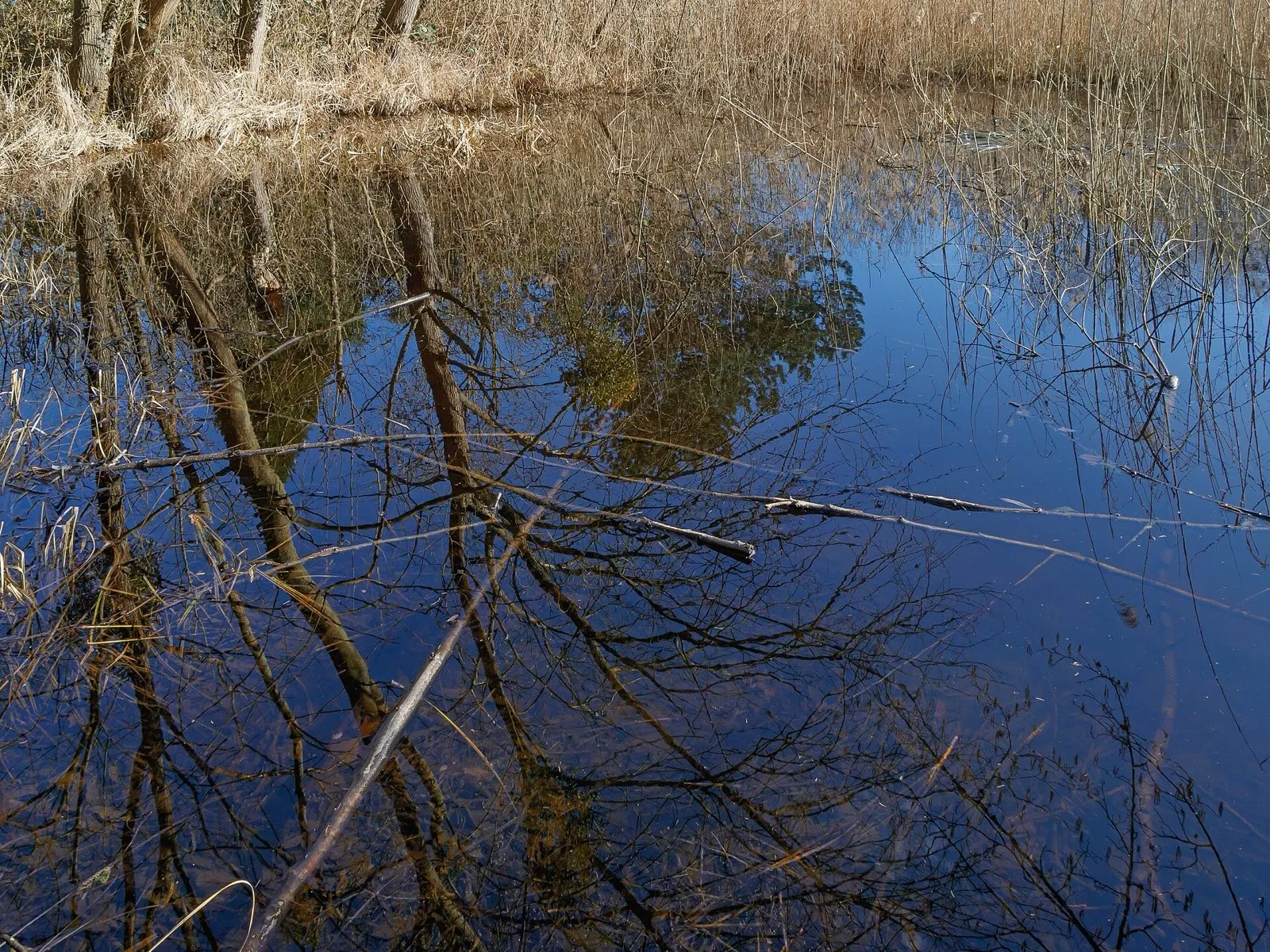 Daxlanden in Karlsruhe
