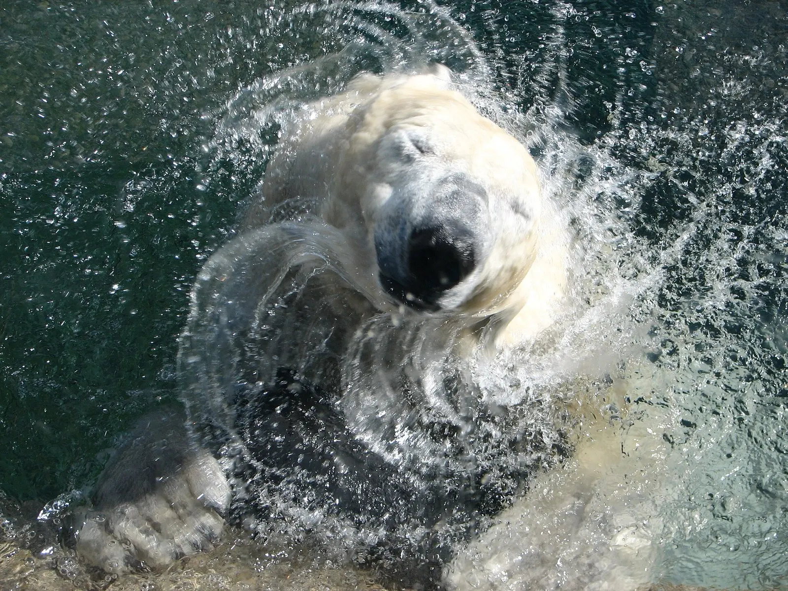 Zoologischer Stadtgarten Karlsruhe in Karlsruhe